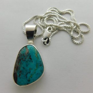 ERIKA Juzwiak Anglo BISBEE TURQUOISE and Sterling Silver Oval Pendant + Chain