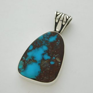 Bisbee Turquoise & Half Host Sterling Silver Pendant