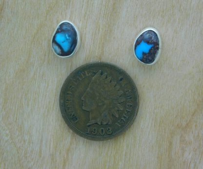 Bisbee Blue Turquoise Post Earrings