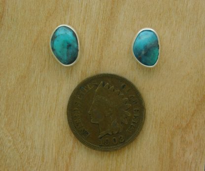 Smoky Bisbee Turquoise Post