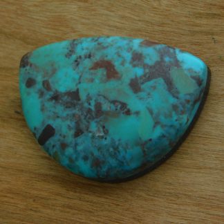 BISBEE TURQUOISE 1/2 Circle Cab