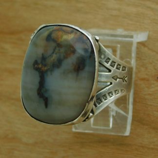 Arizona Petrified Wood Ring
